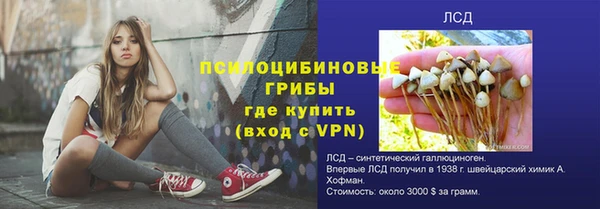 прущие грибы Арсеньев