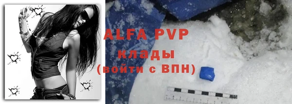 прущие грибы Арсеньев