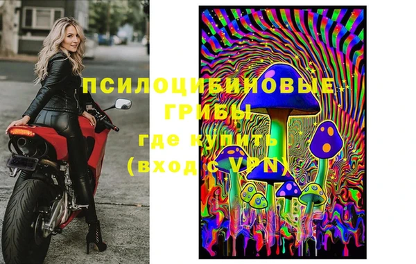 прущие грибы Арсеньев