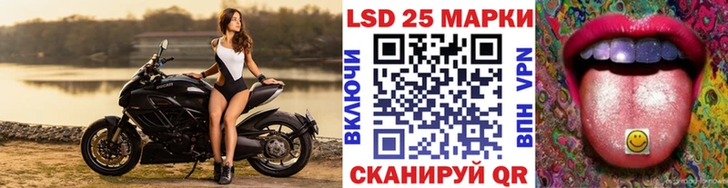 darknet Telegram  Бийск  Наркотические марки 1,8мг 