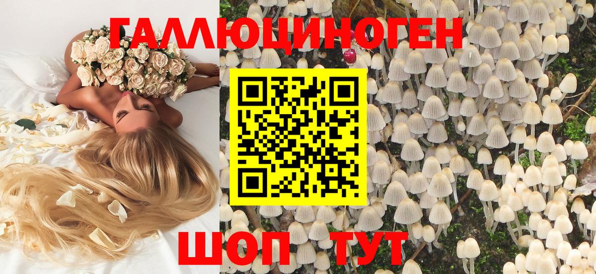 Бийск  Псилоцибиновые грибы GOLDEN TEACHER  Вход с VPN  Галлюциногенные грибы Magic Shrooms 